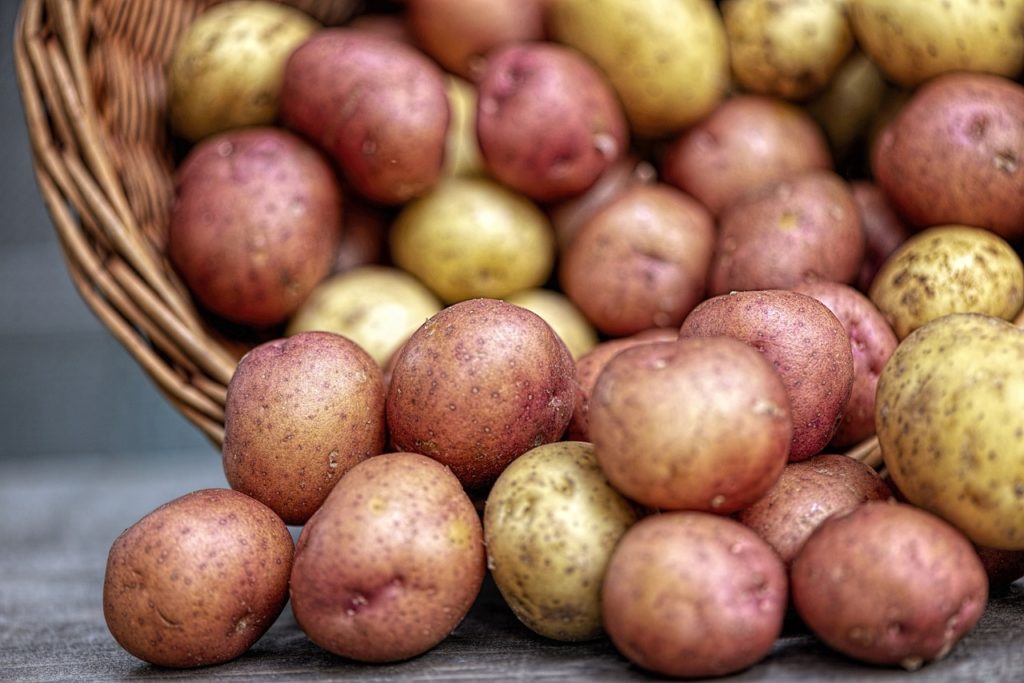 Cooking potatoes : choosing the flesh and the starch keeping