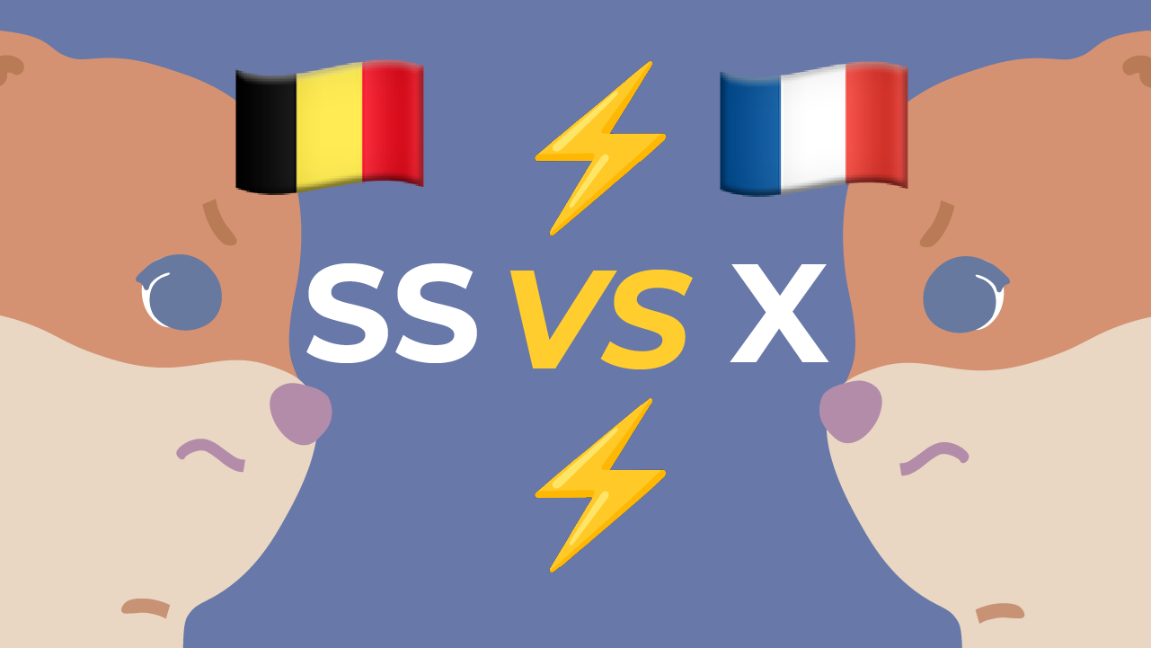 French VS Belgian Pronunciation